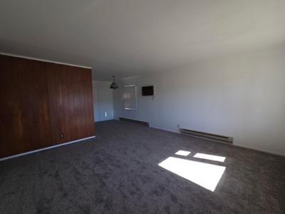 2445 Ritchey Street, Williamsport, 賓夕法尼亞州 17701, 美國