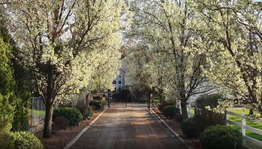 8620 W Richardson Road, Pasco, Washington 99301, États-Unis