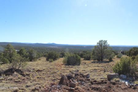 6 County Road 8052 Box 1F, Concho, Arizona 85924, Estados Unidos