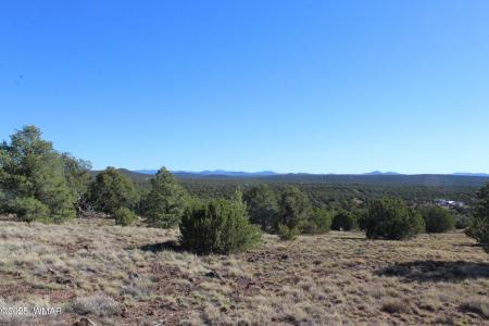 6 County Road 8052 Box 1F, Concho, Arizona 85924, Estados Unidos