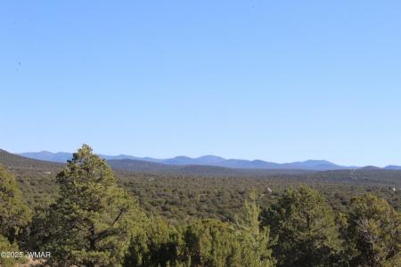 6 County Road 8052 Box 1F, Concho, Arizona 85924, Estados Unidos