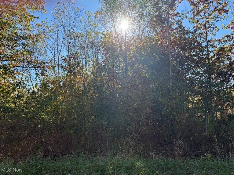 Pearl Avenue, Lorain, 오하이오 44055, 미국