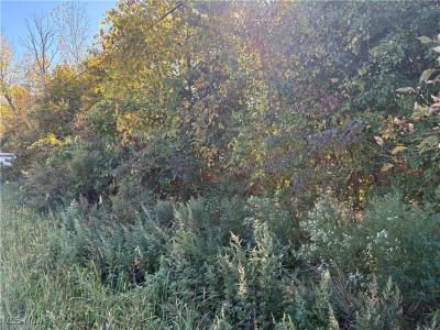 Pearl Avenue, Lorain, 오하이오 44055, 미국