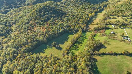 276 Long Branch Road, Berea, Kentucky 40403, HOA KỲ