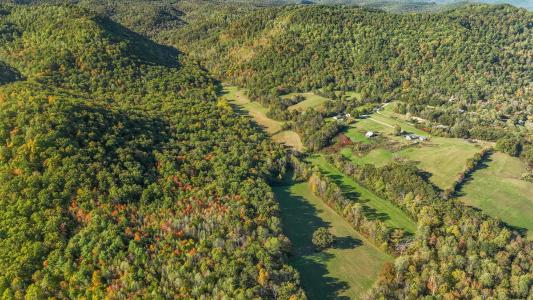 276 Long Branch Road, Berea, Kentucky 40403, HOA KỲ