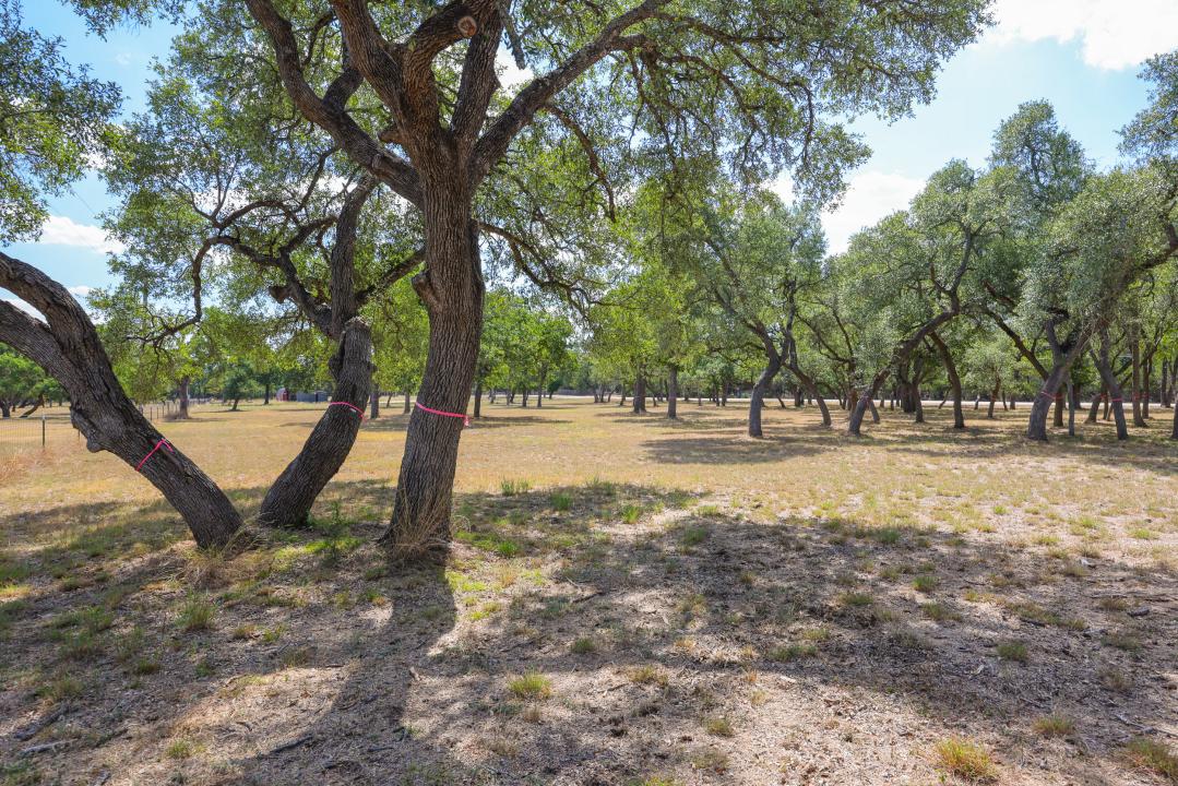 1301 Sandy Point Rd, Wimberley, Texas 78676, HOA KỲ