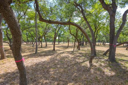 1301 Sandy Point Rd, Wimberley, Texas 78676, HOA KỲ