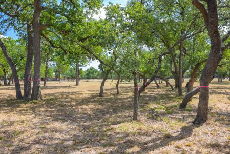 1301 Sandy Point Rd, Wimberley, Texas 78676, HOA KỲ