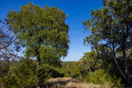 TBD Crazy Cross Rd, Wimberley, Texas 78676, HOA KỲ