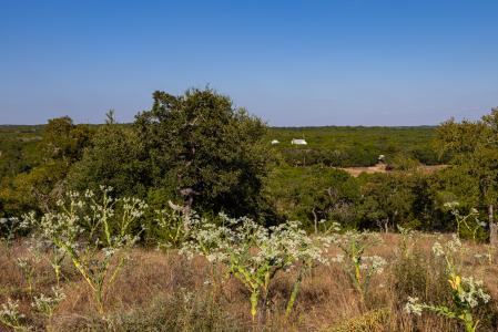 TBD Crazy Cross Rd, Wimberley, Texas 78676, HOA KỲ
