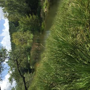 2660 FM 3237, Wimberley, Texas 78676