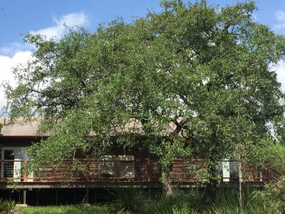 2660 FM 3237, Wimberley, Texas 78676, Estados Unidos