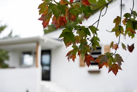 3806 Richmond Hwy, Spout Spring, Virginia 24593