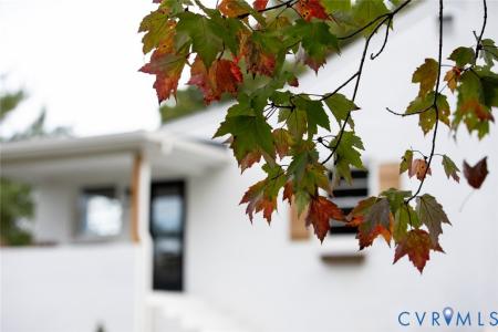 3806 Richmond Highway, Spout Spring, Virginia 24593