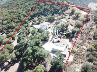 15735 Lawson Valley Road, Jamul, 加利福尼亚州 91935, 美国