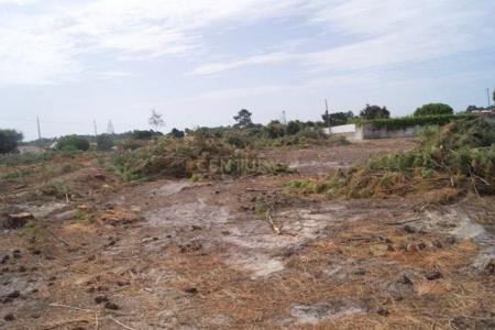 Santiago Do Cacém, Setubal 7500-014, Portugal