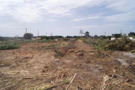 Santiago Do Cacém, Setubal 7500-014, Portugal