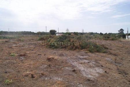 Santiago Do Cacém, Setubal 7500-014, Portugal