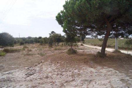 Santiago Do Cacém, Setubal 7500-014, Portugal