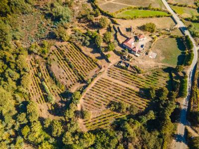 Baião, 波爾圖 4640-310, 葡萄牙