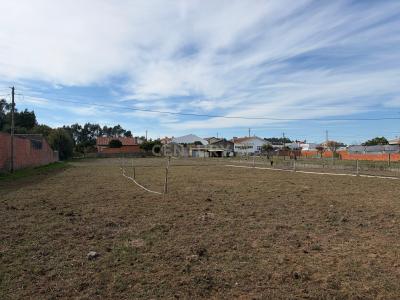 アヴェイロ, アヴェイロ 3800-579, ポルトガル