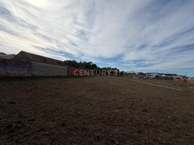 アヴェイロ, アヴェイロ 3800-579, ポルトガル