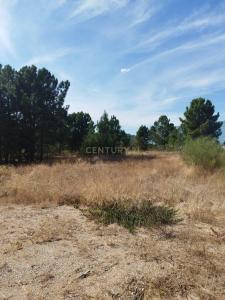 Palmela, Setubal, Portugal