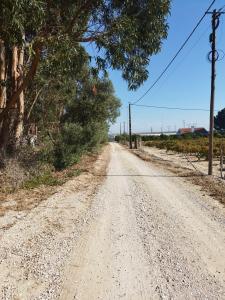 Palmela, Setubal, Portugal