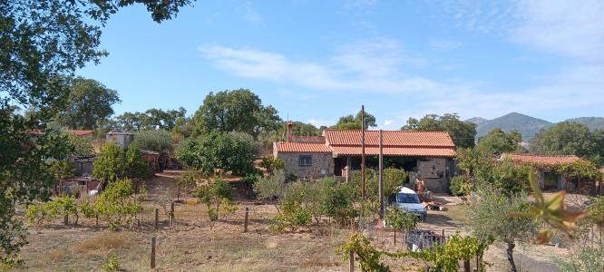 Idanha A Nova, Castelo Branco 6060-072, Portugal