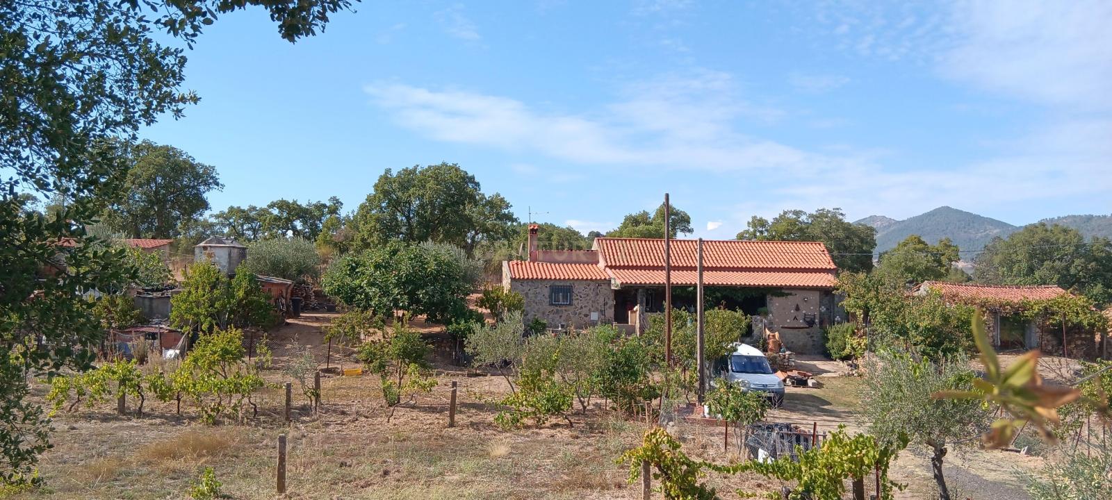 Idanha A Nova, Castelo Branco 6060-072, Portugal