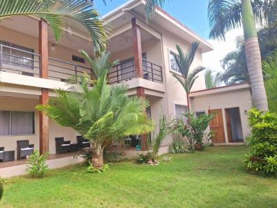 Puerto Viejo Talamanca, Limón 70403, Kostaryka