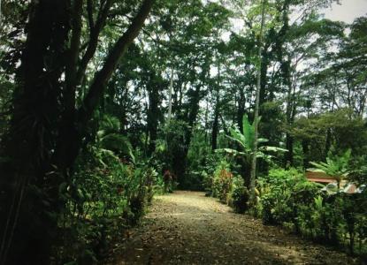 Puerto Vargas Cahuita Talamanca, Limón 70403, Costa Rica