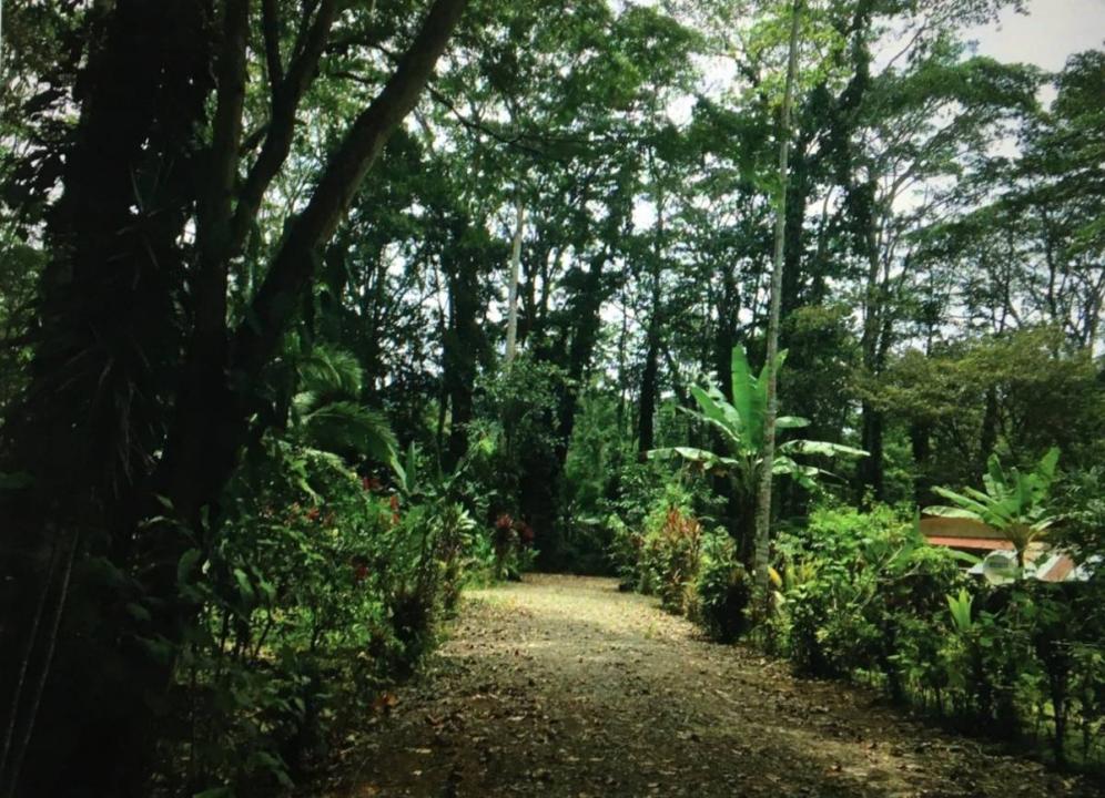 Puerto Vargas Cahuita Talamanca, Limón 70403, كوستاريكا