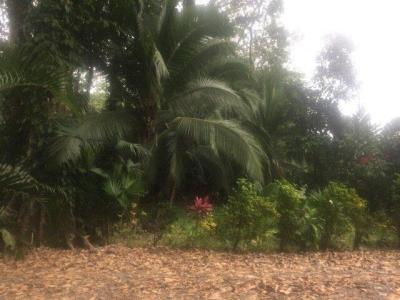 Puerto Vargas Cahuita Talamanca, Limón 70403, كوستاريكا