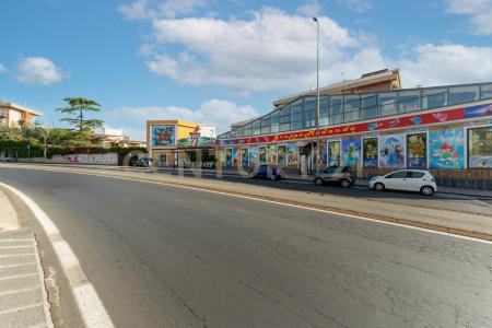 Via Attanasio Natale, Catania, Sicilia 95127, Ý