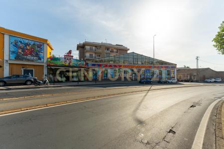 Via Attanasio Natale, Catania, Sicilia 95127, Ý