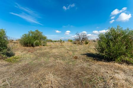 Via Margarone, Motta Sant'Anastasia, Sicilia 95040, Italie