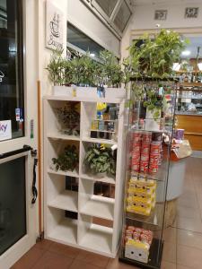 Piazza Roma, Pero, Lombardia 20016, Италия