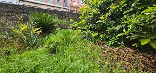 València/Valencia, Comunitat Valenciana 46712, Tây Ban Nha