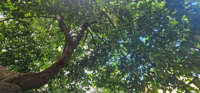 València/Valencia, Comunitat Valenciana 46712, Tây Ban Nha