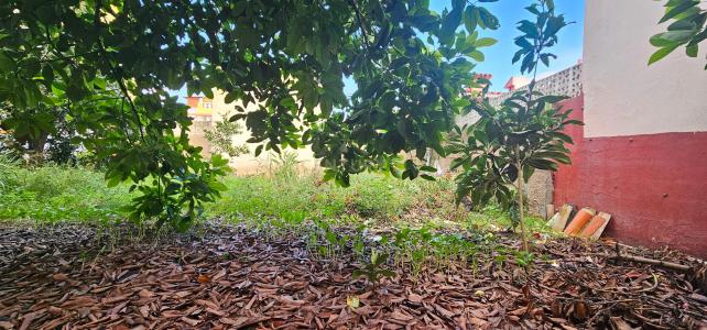 València/Valencia, Comunitat Valenciana 46712, Tây Ban Nha