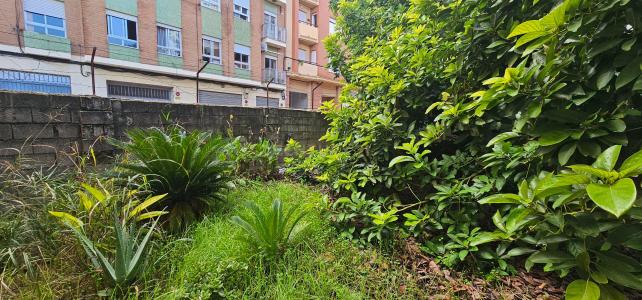 València/Valencia, Comunitat Valenciana 46712, Tây Ban Nha