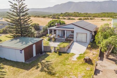 Gansbaai, Western Cape, Nam Mỹ