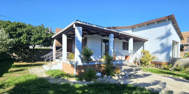 Gansbaai, Western Cape, Nam Mỹ