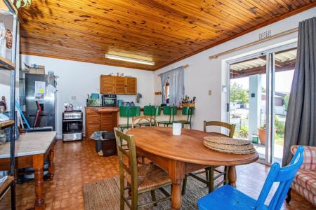 Gansbaai, Western Cape, Nam Mỹ