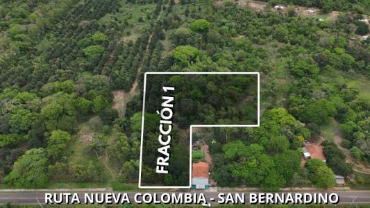 Fruteria Nueva Colombia , Nueva Colombia, Cordillera 00001, Le Paraguay