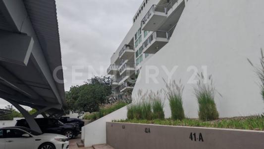 San Pedro Garza García, Nuevo León 66278, Messico