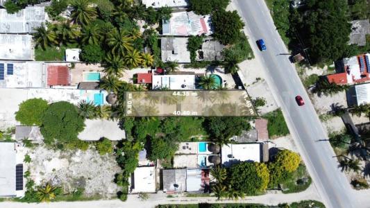 TABLAJE Chelem,, Progreso, Yucatan 97322, Mexico