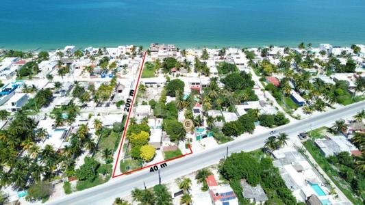 TABLAJE Chelem,, Progreso, Yucatan 97322, Mexico