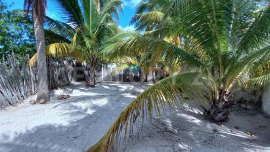 TABLAJE Chelem,, Progreso, Yucatan 97322, Mexico